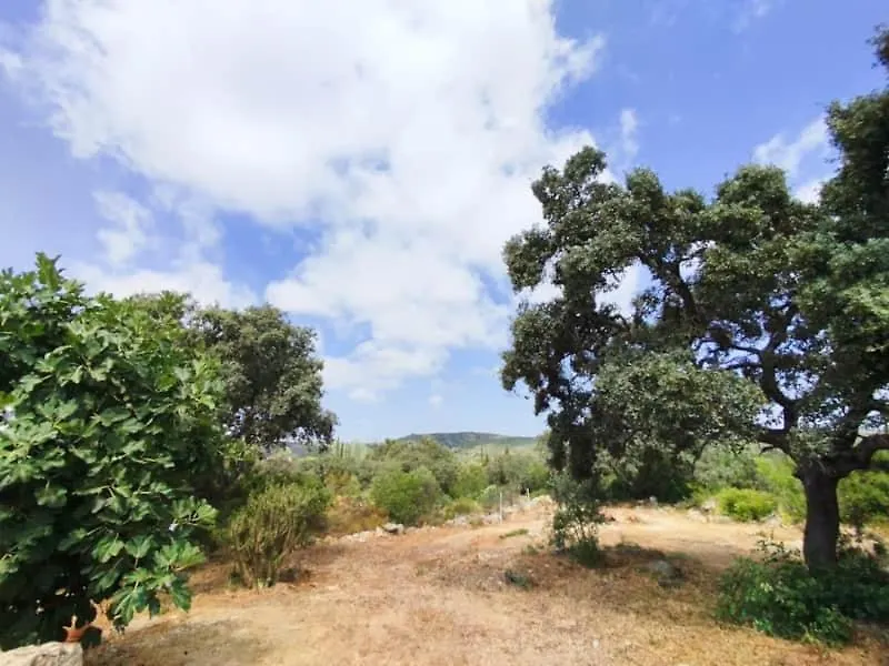 Quinta Azul Villa Loule