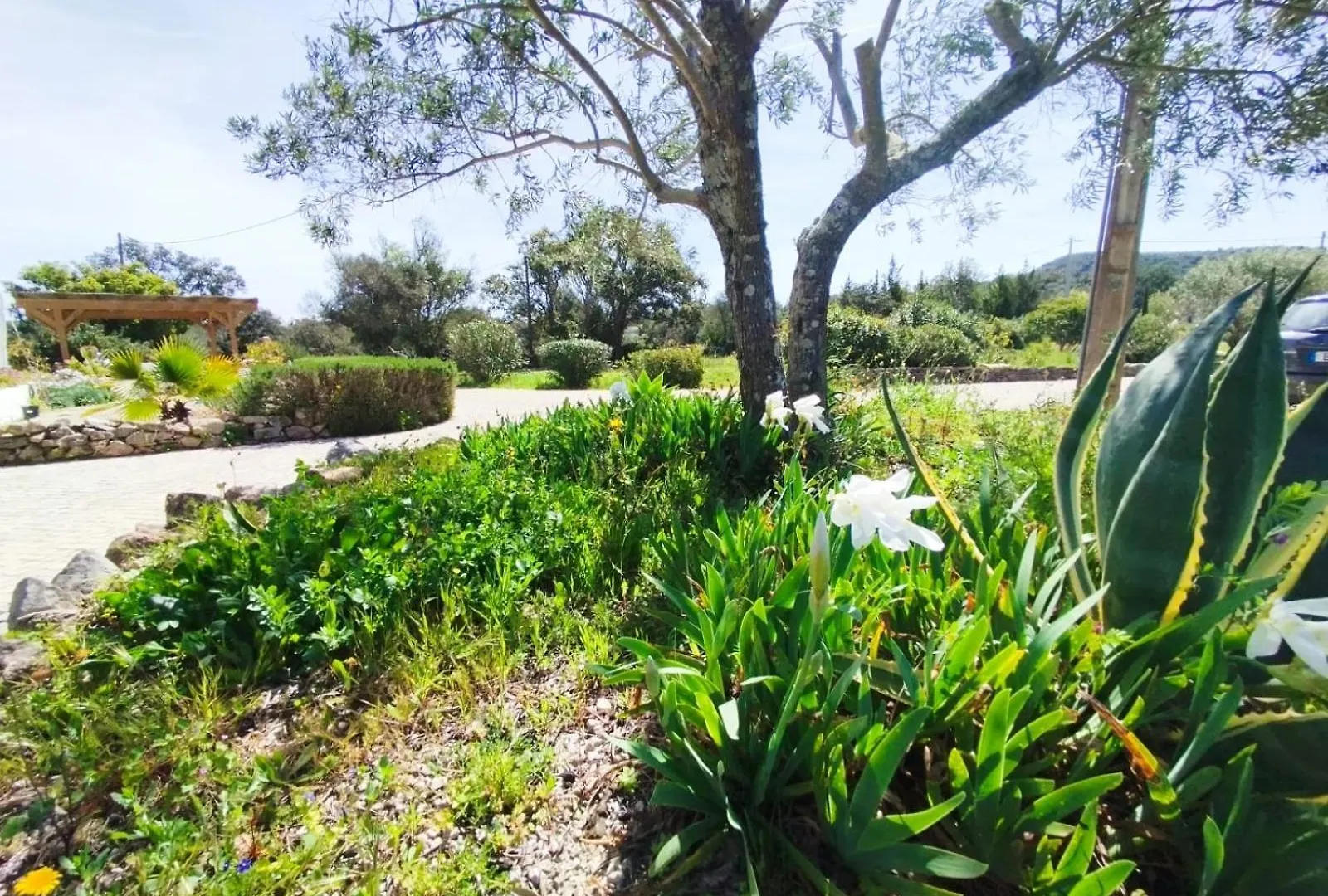 Quinta Azul Villa Loule