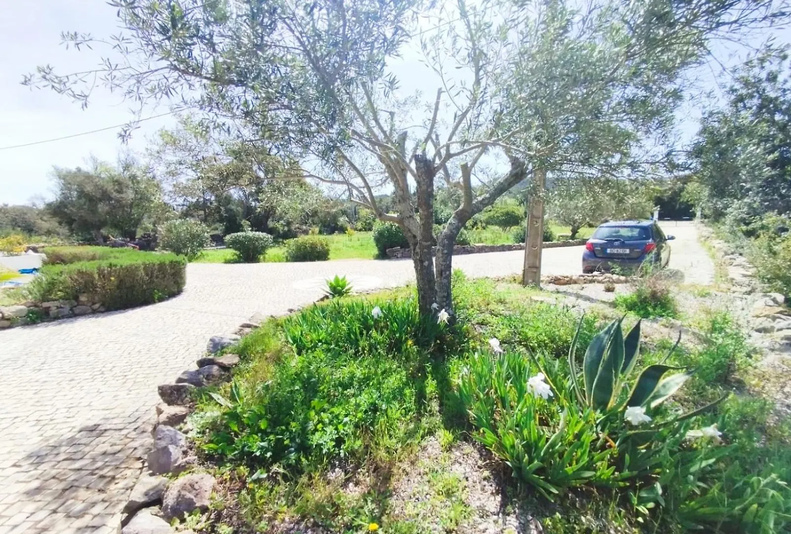 Quinta Azul Villa Loule