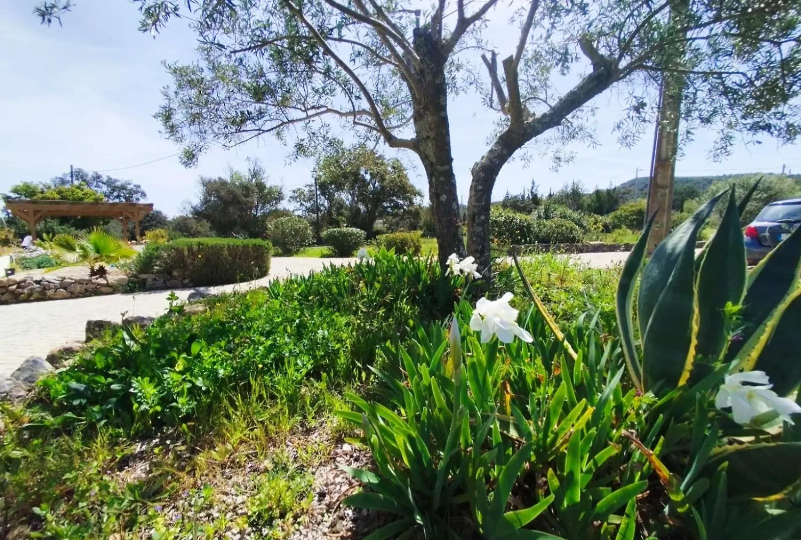 Quinta Azul Villa Loule Portugal