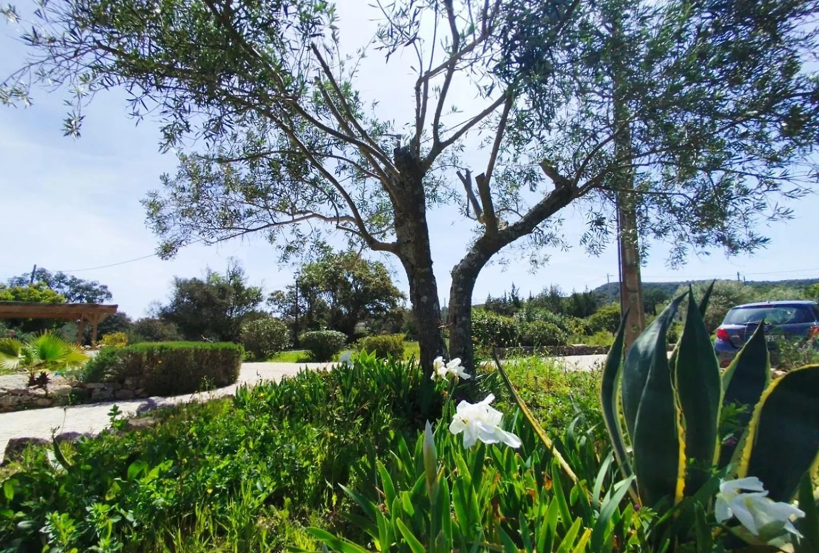 Quinta Azul Villa Loule 0*,  Portugal