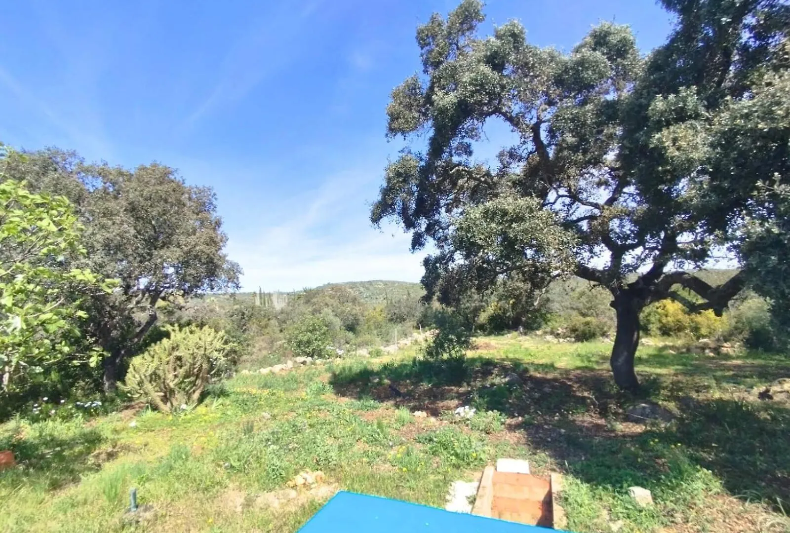 Quinta Azul Villa Loule
